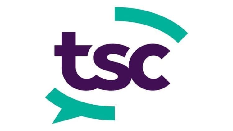 the security company logo