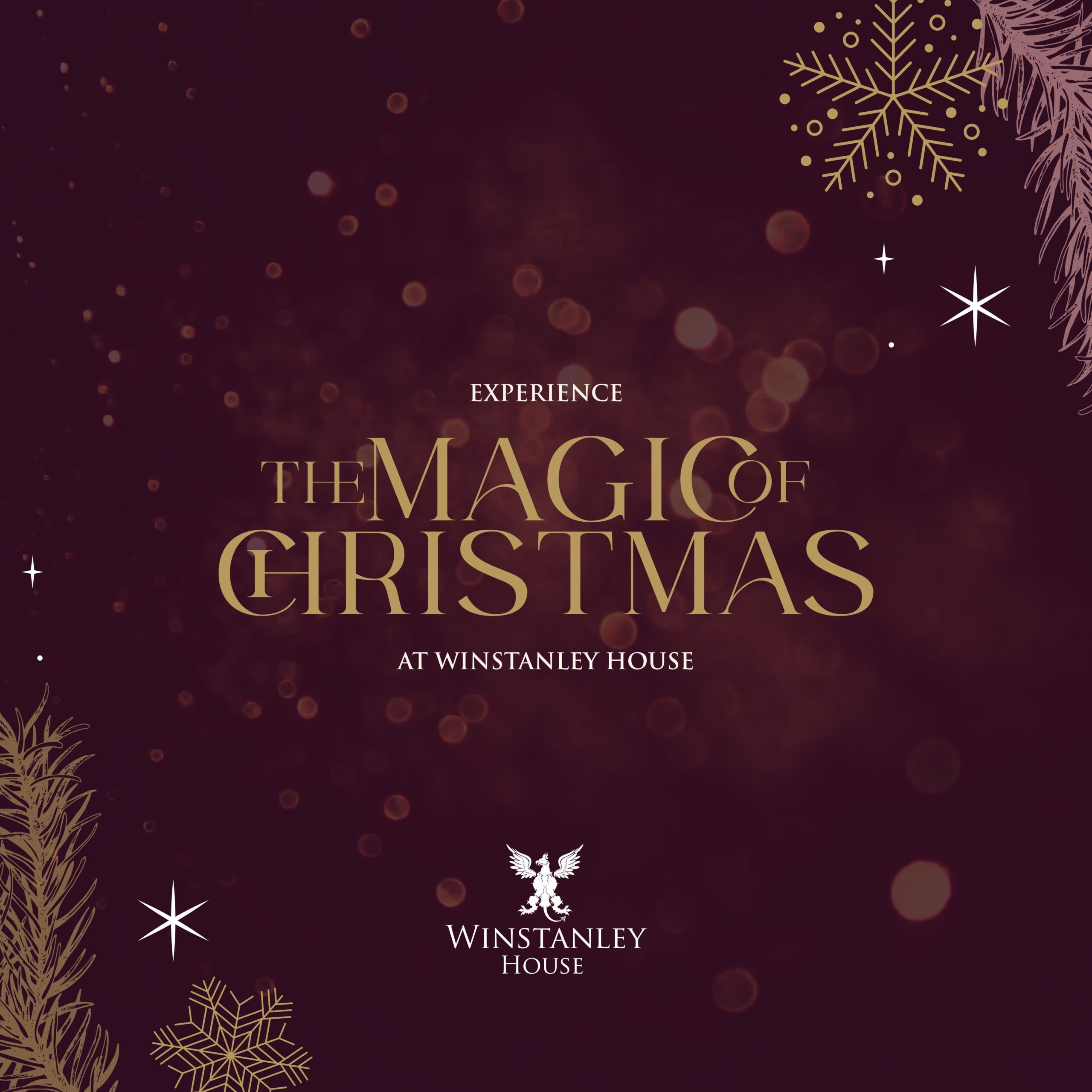Title cover graphic for The Magic of Christmas event brochure