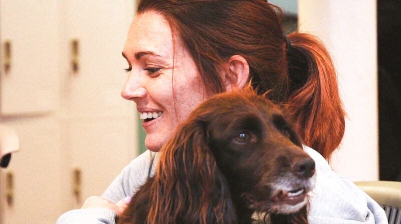 Senior Creative Artworker, Gemma Simmons, and Studio Dog, Lexi. One of them is doing more work than the other.